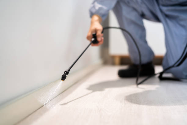 Licensed Rodent Control service in Carson, CA - Nex Pest Control