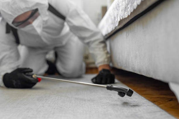 Professional Rodent Control technician working in Carson, CA