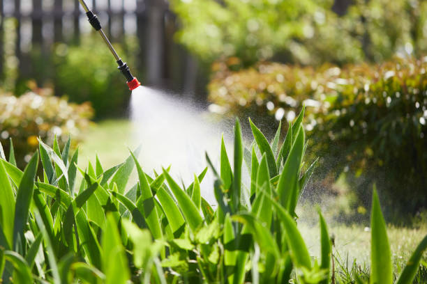 24/7 Emergency Rodent Control experts in Carson, CA