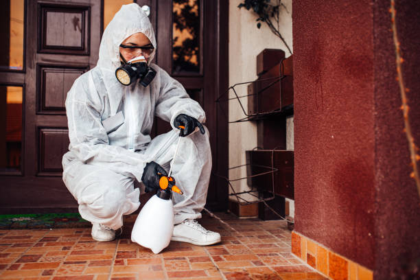 Reliable Rodent Control contractor in Carson, CA by Nex Pest Control