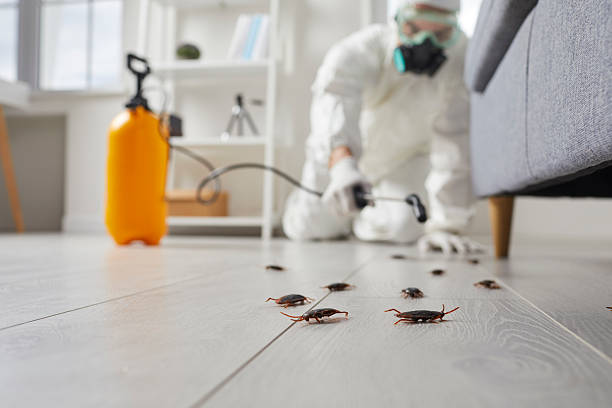 Trusted Termite Control service in Carson, CA - Nex Pest Control
