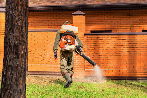 Trusted Emergency Pest Control service in Carson, CA - Nex Pest Control